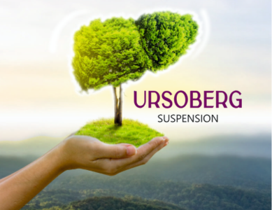 Ursoberg Suspension